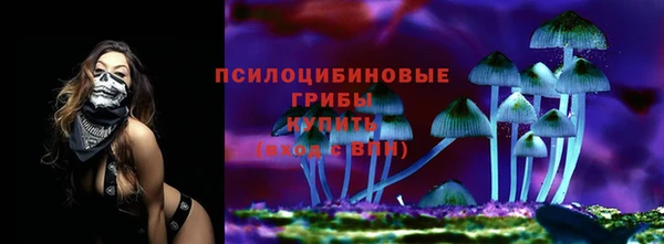 марки nbome Горнозаводск