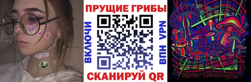 купить наркоту  Невинномысск  Псилоцибиновые грибы Psilocybine cubensis 